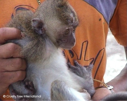 Trapper with monkey 