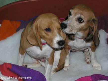 Bonnie and Billie after rescue 