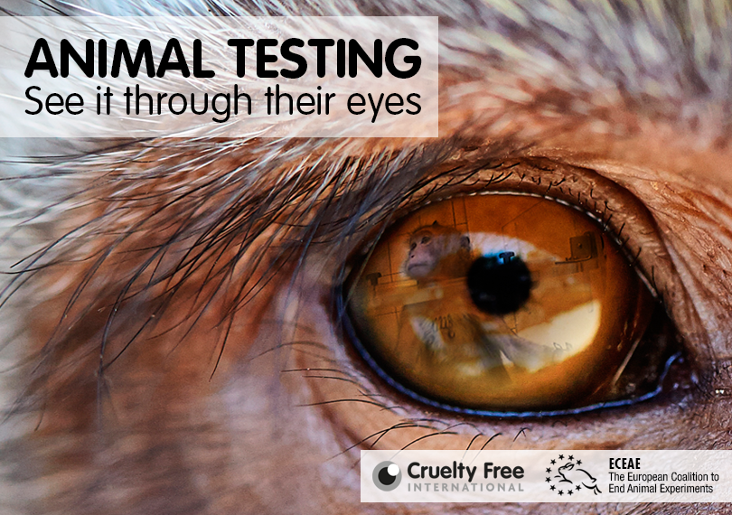 Animal testing - see it through their eyes