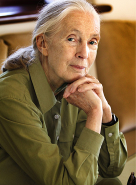 Jane Goodall