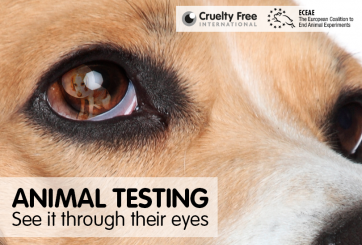 Animal testing - see it through their eyes