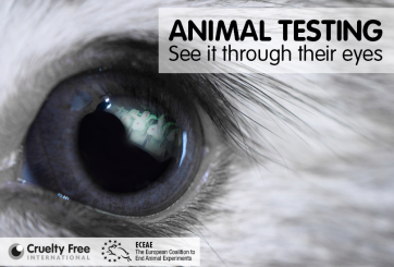 Animal testing - see it through their eyes