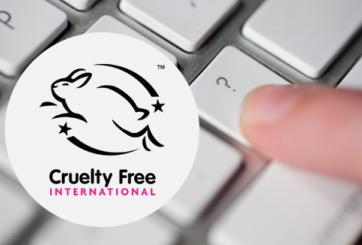 Leaping Bunny FAQs