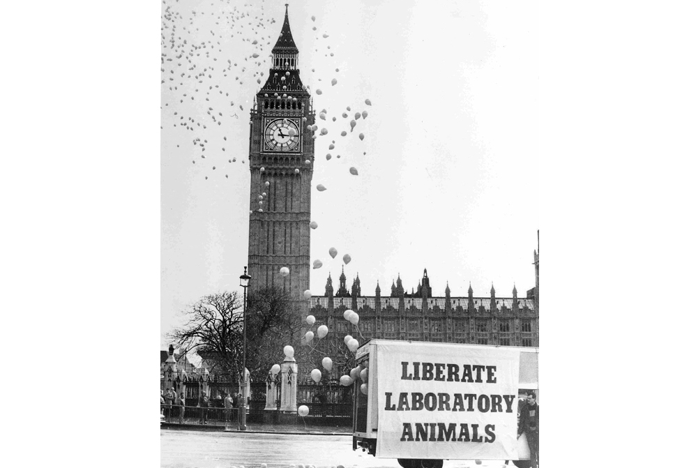 We protest outside the UK Houses of Parliament 