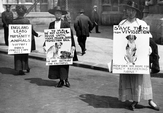 On 23 May 1919 we joined forces with Dogs Trust to hold a demonstration in Parliament Square