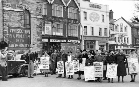 A demonstration in Salisbury, UK against animal experiments at Porton Down, 1950s