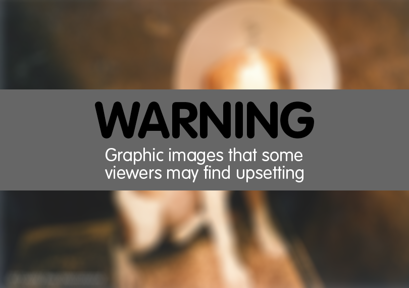 Warning - graphic images that some viewers may find upsetting.