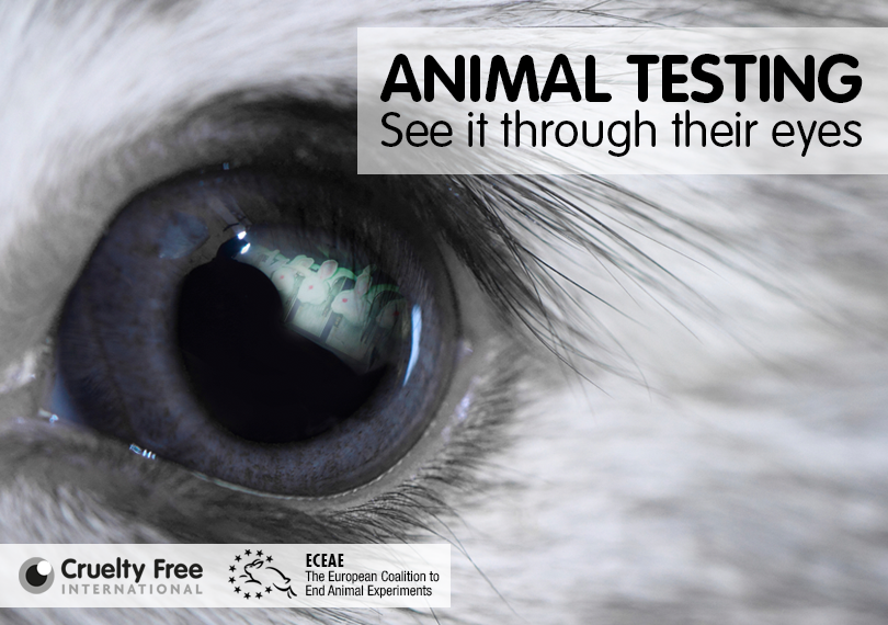 Animal testing - see it through their eyes