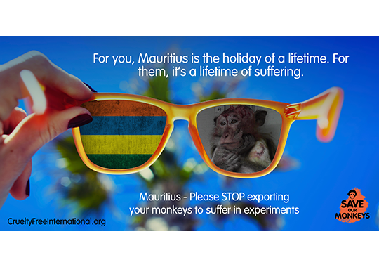 For you, Mauritius is the holiday of a lifetime. For them it's a lifetime of suffering.