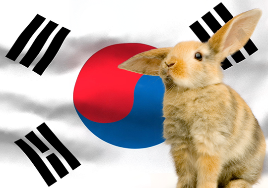 Korea | Cruelty Free International