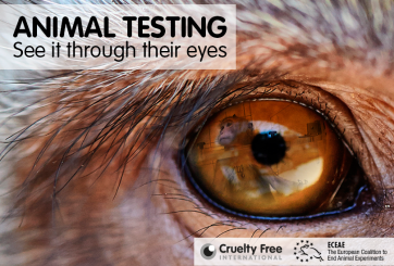 Animal testing - see it through their eyes