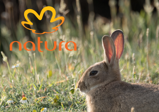Natura awarded Leaping Bunny certification | Cruelty Free International